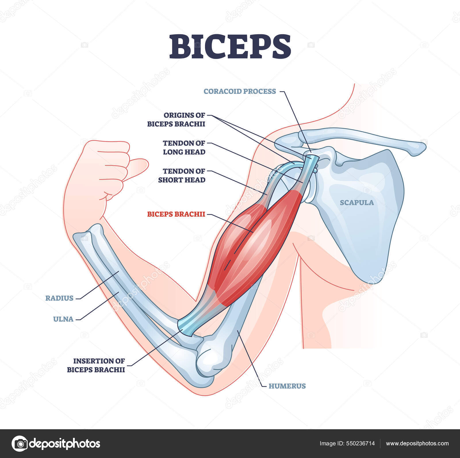 Flow 2 - en smakebit by Aschehoug - Issuu, image size:1600x1593