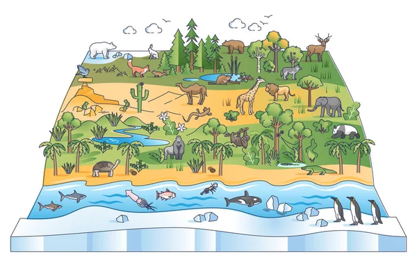 식물상 과 동물상 생태 지역 이 있는 생물 다양성 장면 도표 — 스톡 벡터