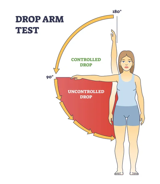 Test de bras tombant pour diagnostiquer la physiopédie avec diagramme de contour de mouvement du bras — Image vectorielle
