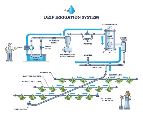 Système d'irrigation goutte à goutte et diagramme de contour automatique du pipeline d'arrosage au sol — Image vectorielle