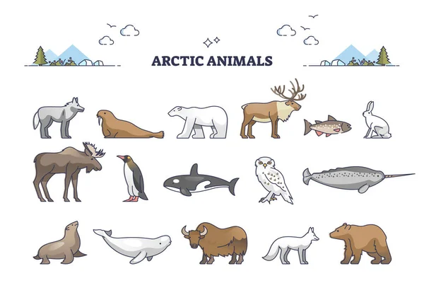 Arctic animals collection with cold north environment wildlife outline set — Wektor stockowy