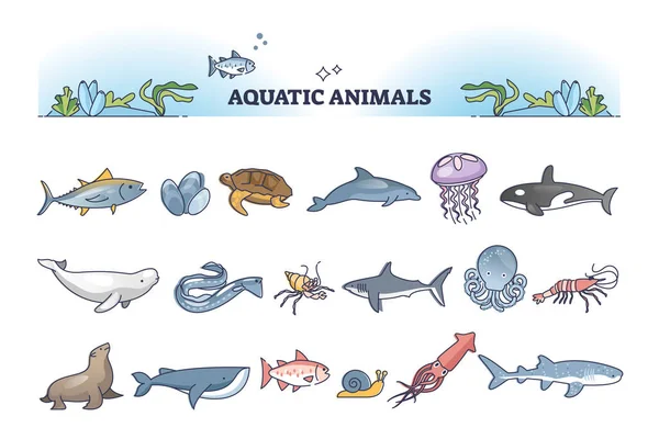 Aquatic animals collection with sea and ocean wildlife outline items set — Stockvektor