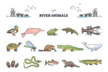 River animals or underwater species in wet environment outline collection set