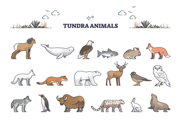 Tundra animals collection with natural habitat creatures type outline set — Stock Vector