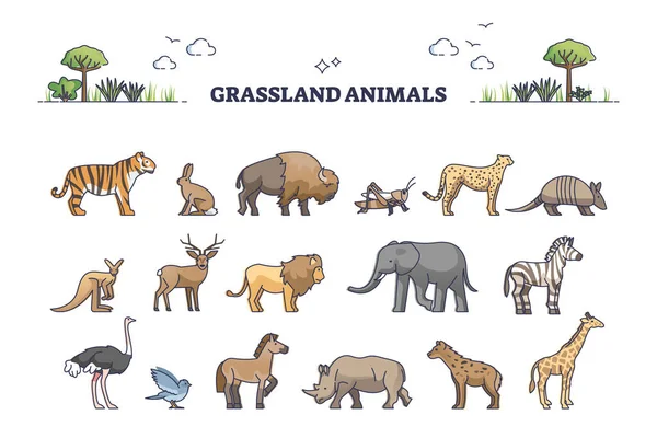 Grassland animals for savanna or safari collection with mammals outline set — Stock Vector