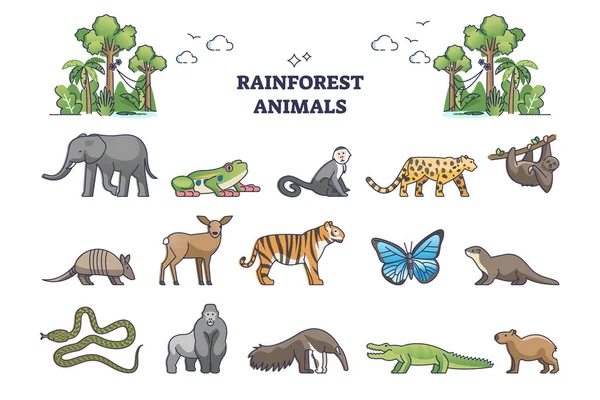 Rainforest jungle wildlife elements with animal fauna outline collection set — Stockvector