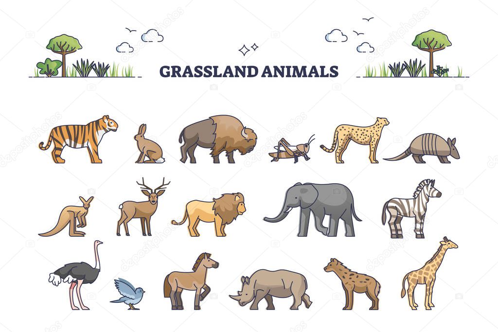 Grassland animals for savanna or safari collection with mammals outline set