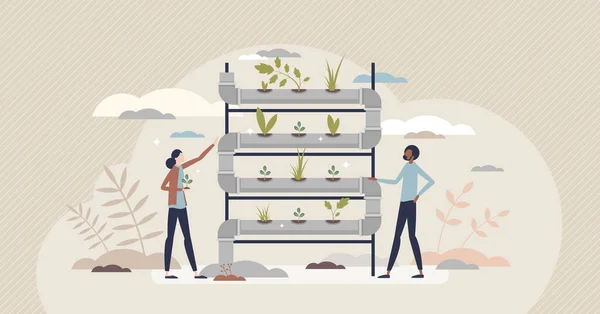 Hydroponic farming as sprouts and water pipeline farming tiny person concept — Archivo Imágenes Vectoriales