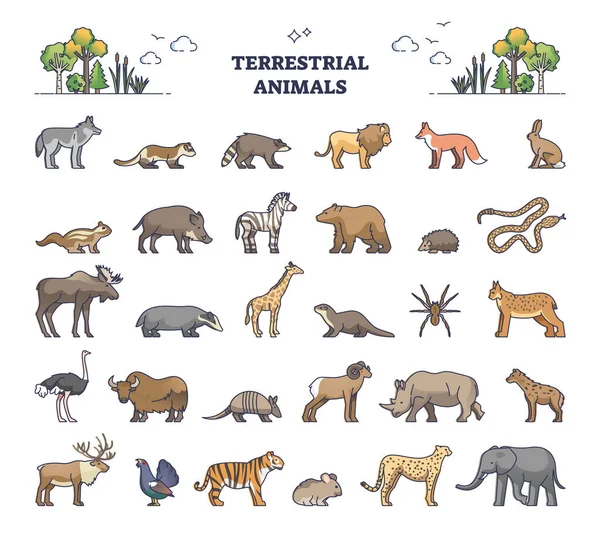 Terrestrial animals group as living species on land outline collection set — Archivo Imágenes Vectoriales