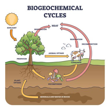 Biogeochemical cycle as natural substance circulation pathway outline diagram clipart
