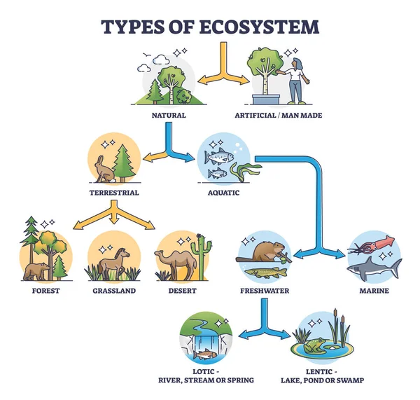 Types of ecosystem with natural and artificial division outline diagram — Vettoriale Stock