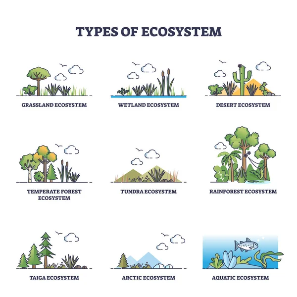 Types of ecosystem with various climate habitats outline collection set — Stock Vector