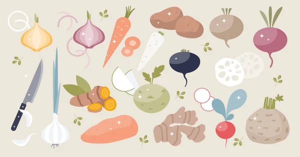 Корневые овощи набор с подземными растениями питания крошечная коллекция человека — стоковый вектор