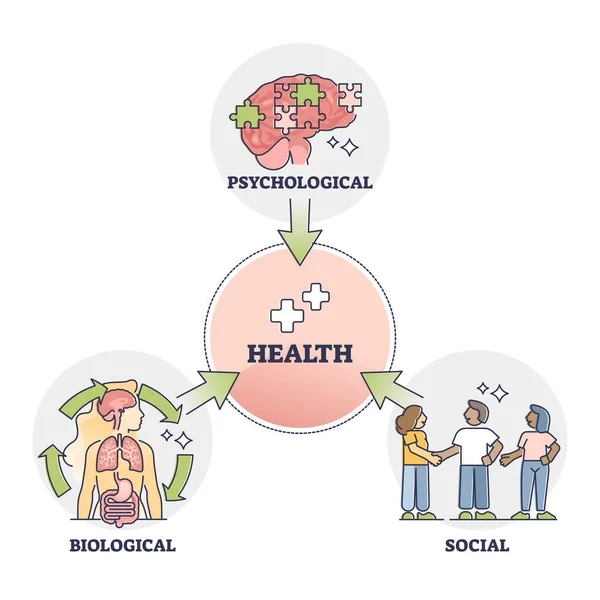 Health psychology with biological and social process factors outline diagram — Stock Vector