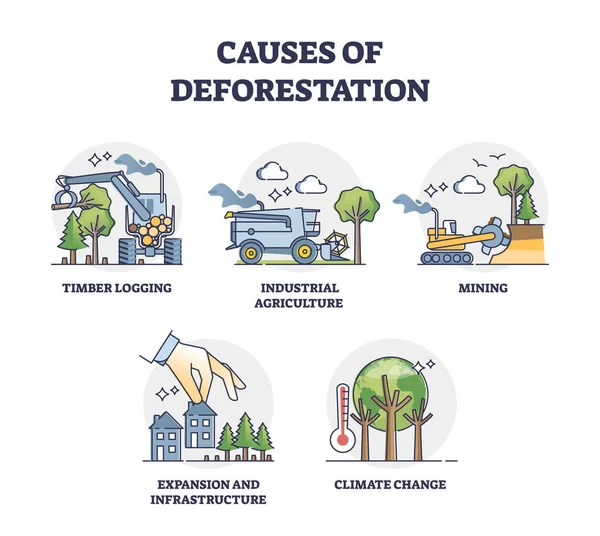 Les Causes Déforestation Consommation Des Ressources Bois Esquissent Ensemble Collecte — Image vectorielle