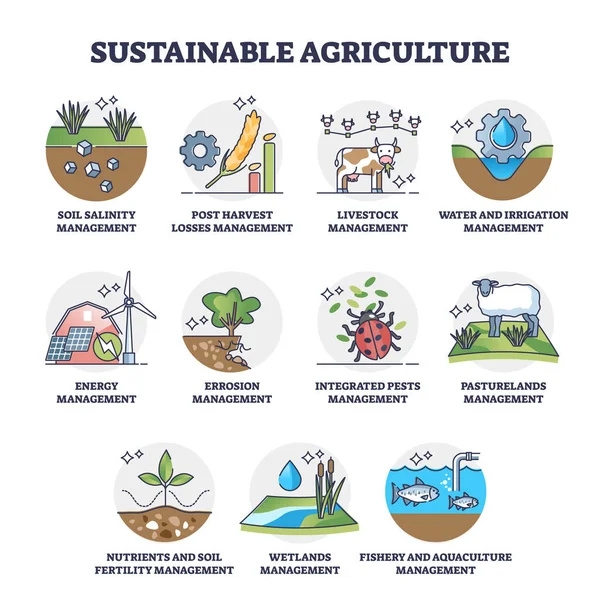 Agricultura Sostenible Con Recogida Esquemas Gestión Cosecha Ecológica Lista Educativa — Archivo Imágenes Vectoriales