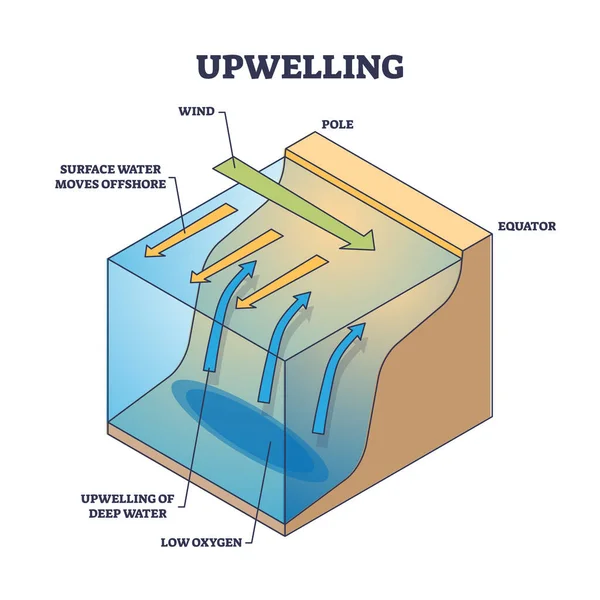 Upwelling Ocean Deep Water Movement Process Explanation Outline Diagram Labeled — Archivo Imágenes Vectoriales