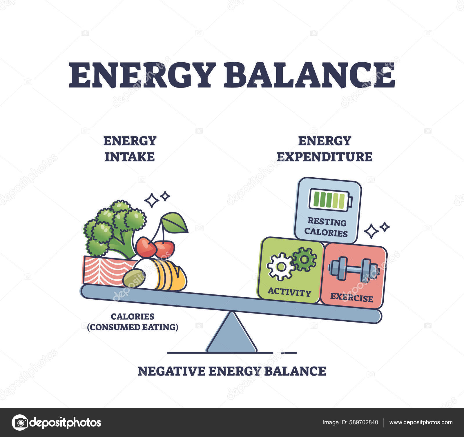 Energy Balance Calories Intake Daily Expenditure Outline Diagram