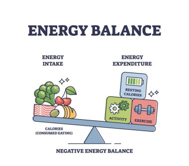 Enerji dengesi ve kalori alımı ya da günlük harcama şeması. Vücut kütlesi gösterimi için gıda tüketimi ve faaliyetleri, fitness veya egzersiz ağırlıkları ile etiketlenmiş eğitim şeması