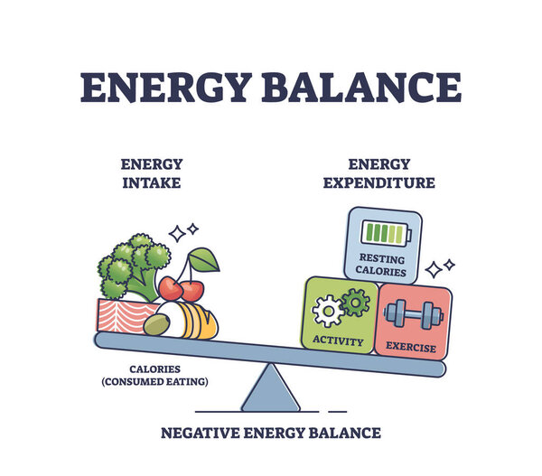 Energy balance with calories intake or daily expenditure outline diagram. Labeled educational scheme with food consumption and activities, fitness or exercise weights for body mass vector illustration