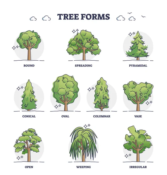 Tree Forms Wood Vegetation Shapes Various Examples Outline Collection Labeled — Archivo Imágenes Vectoriales