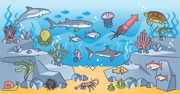 Marine Ecosystem Various Swimming Underwater Creatures Outline Concept Ocean River — 图库矢量图片