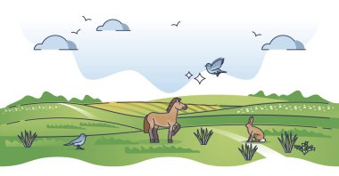 Yeşil alan biyografileri olan çimen alanları arazi biçimi konsepti. Ilıman iklim tipi savana, bozkır, çayır ve pampa yaşam alanı hayvanlar ve bitkiler için yeşillik çizimi.