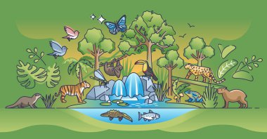 Orman manzarası yağmur ormanlarının doğal yaşam alanı ve biyografik özet konsepti. Yeşil ve yemyeşil yapraklar, fauna ve flora biyolojik çeşitlilik vektör illüstrasyonuyla. Ağaç yetişimi ve bitki örtüsü olan orman.