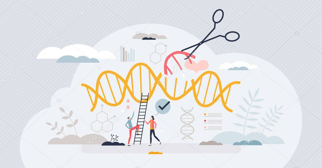 Genetic engineering and DNA gene sequence modification tiny person concept. Molecular research with scientific genome replacement to avoid disease or health problems vector illustration. GMO mutation.