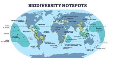 Yaşam türlerinin bulunduğu biyolojik çeşitlilik merkezleri dünya haritası şemasında yer almaktadır. Etiketlenmiş eğitimsel hayvan habitatları şeması coğrafi atlas vektör ilüstrasyonunun en yoğun yerleriyle ekosistem.
