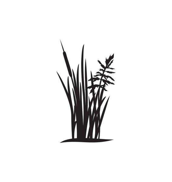 Vector illustration of the grass silhouette