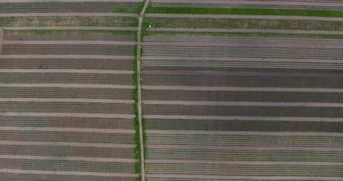 Kuşbakışı bir tarladan hasat edilmiş.