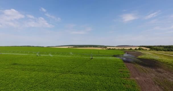 Полет воздушного беспилотника над зеленым картофельным полем с современным оросительным оборудованием — стоковое видео
