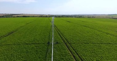 Yeşil alanda modern sulama ekipmanları üzerinde hava aracı uçuşu