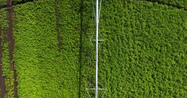 Luchtdrone vlucht over moderne irrigatie-apparatuur op groen veld — Stockvideo