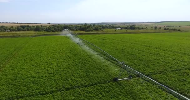 Flygdrönare flygning över grön potatis fält med modern bevattningsutrustning — Stockvideo