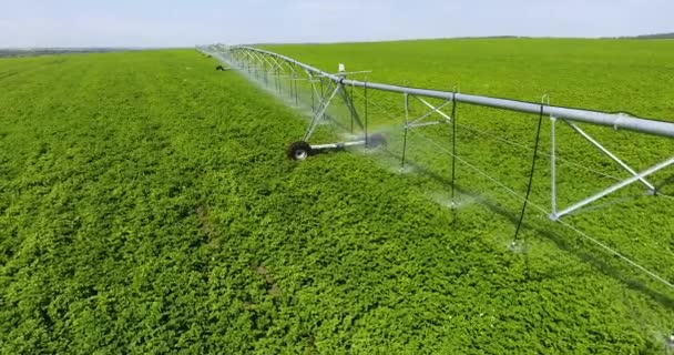 Modern sulama ekipmanıyla yeşil patates tarlası üzerinde hava aracı uçuşu — Stok video