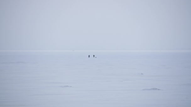 Panoramiczny widok na dwie osoby spacerujące po zaśnieżonym Bałtyku — Wideo stockowe