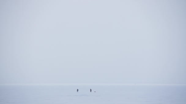 Vue panoramique deux personnes traversant la mer Baltique enneigée — Video