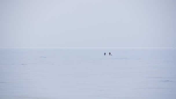 Panorámás kilátás két ember sétál a hófödte Balti-tengeren — Stock videók