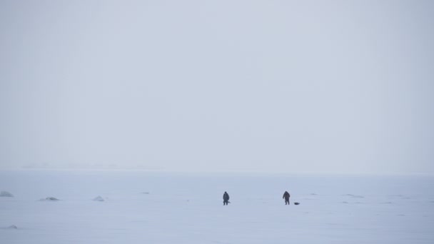 Vue panoramique deux personnes traversant la mer Baltique enneigée — Video