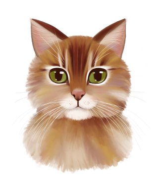 Yeşil gözlü sevimli kırmızı kedi. Beyaz arkaplanda izole edilmiş dijital el çizimi çizimi çizimi.