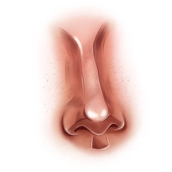 Piękny Ludzki Nos Piegami Widok Ręcznie Rysowana Cyfrowa Ilustracja Odizolowana — Zdjęcie stockowe