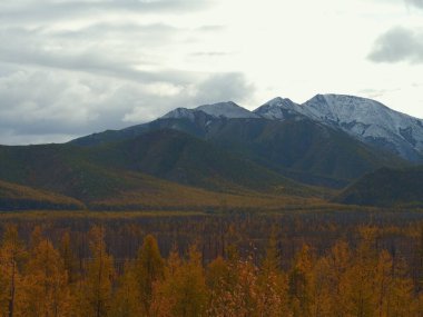 Kuzey sonbahar dağ arkaplan bağı