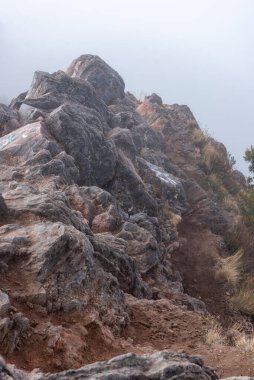 Volkan Baru Ulusal Parkı, Panama 'nın en yüksek noktası (3475m), Chiriqui dağları, Panama, Orta Amerika