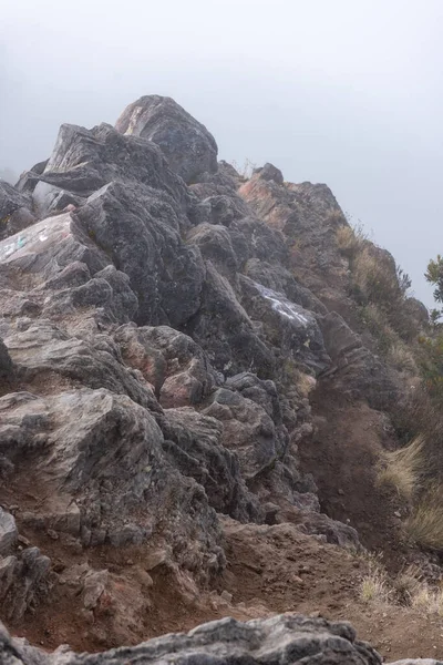 Park Narodowy Volcan Baru Najwyższy Punkt Panamie 3475M Wyżyny Chiriqui Obraz Stockowy