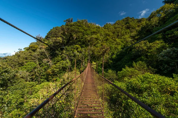 Ponte Sospeso Nella Foresta Pluviale Parco Nazionale Volcan Baru Altopiani — Foto Stock