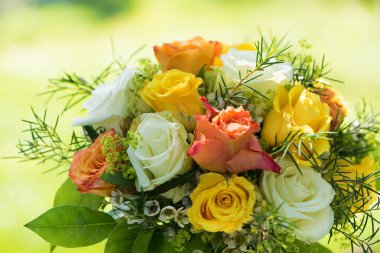 Bahar bahçesinde renkli güller.