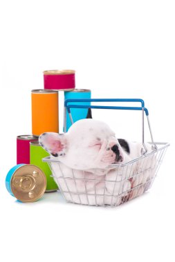 Beyaz arka planda yiyecek kutuları olan Fransız buldog yavrusu.