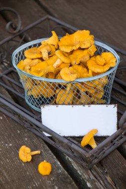 Ahşap bir bankta sepetin içinde Chanterelles
